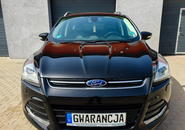 Ford Kuga cena 48500 przebieg: 176484, rok produkcji 2014 z Czerniejewo małe 781